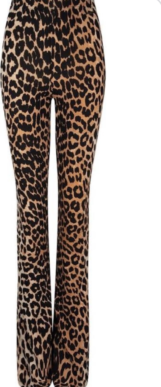 Ambika Flared black leopard