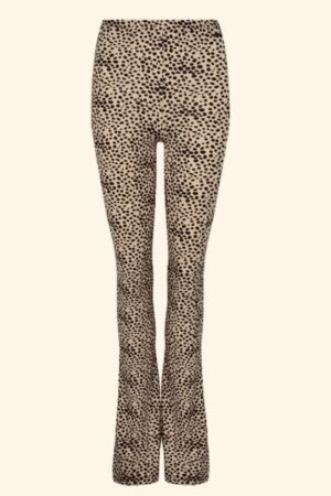 Ambika camel black spot
