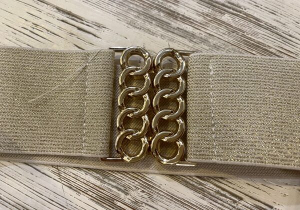 Glamourous elastic belt gold