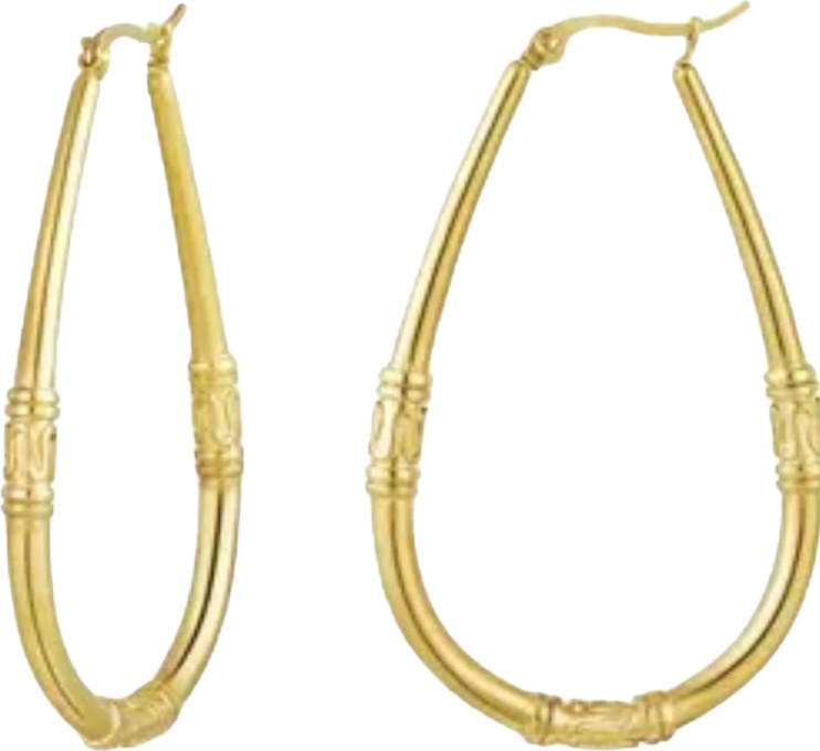 Earrings Indian vibes big