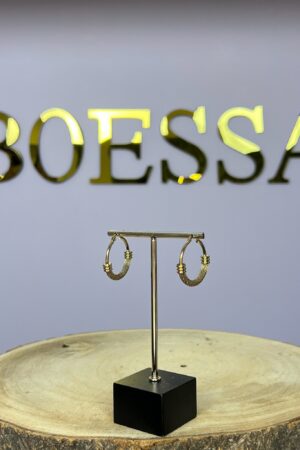 Hoop oorbellen
